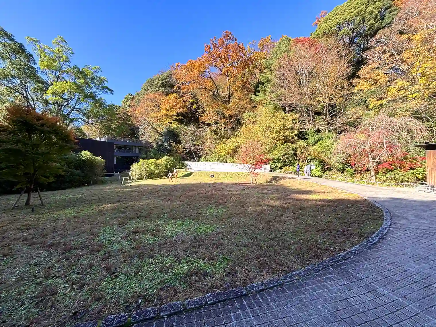 木陰テラス