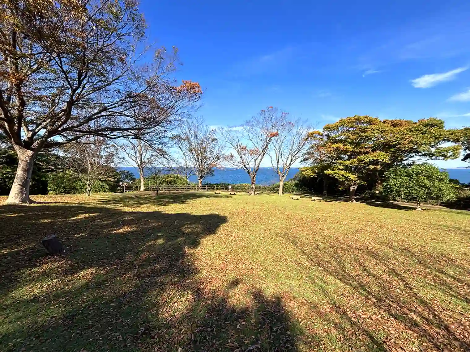 三軒家園地