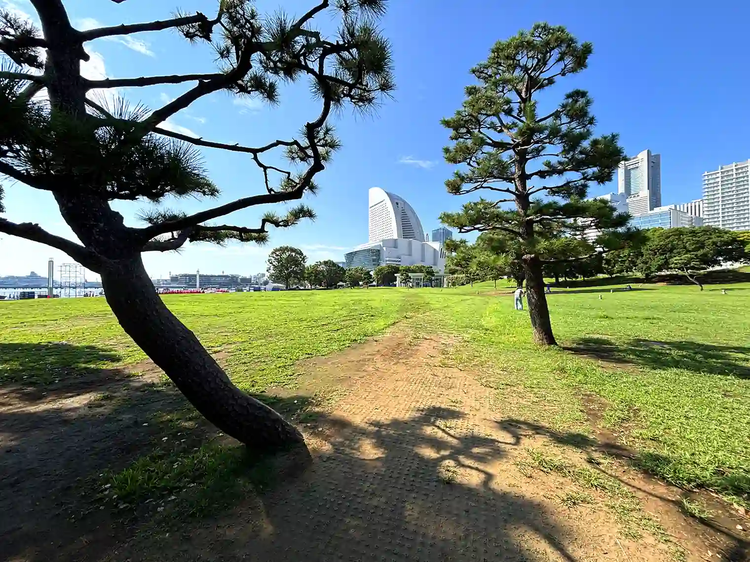芝生広場