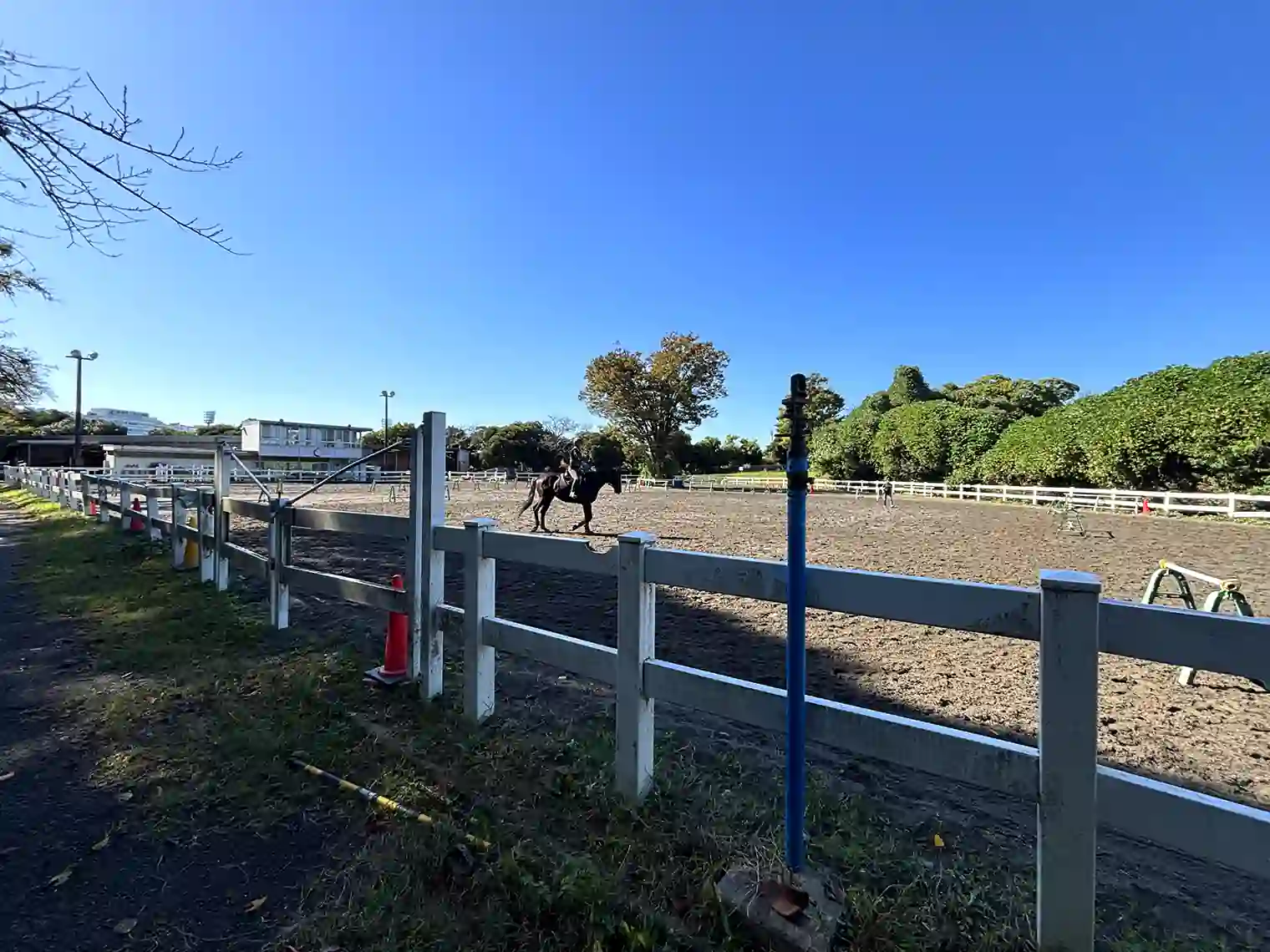馬術練習場