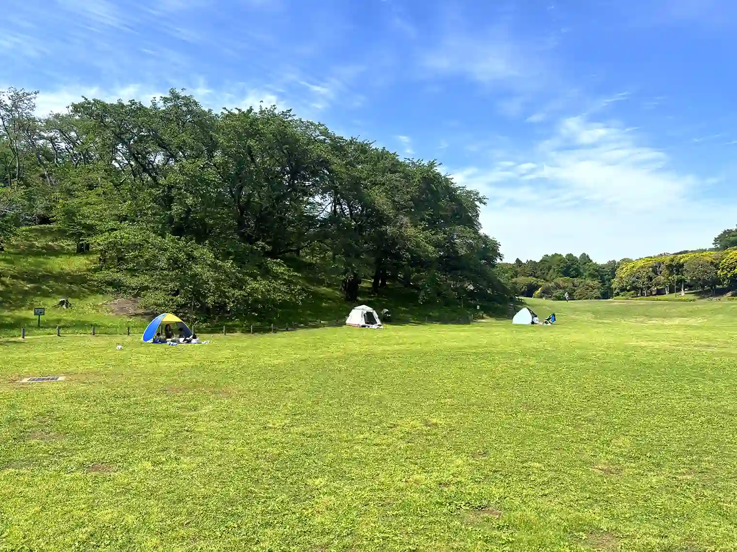 芝生広場