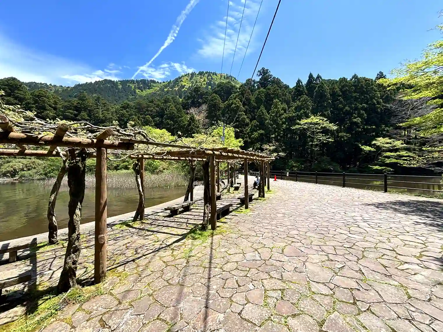 藤棚広場