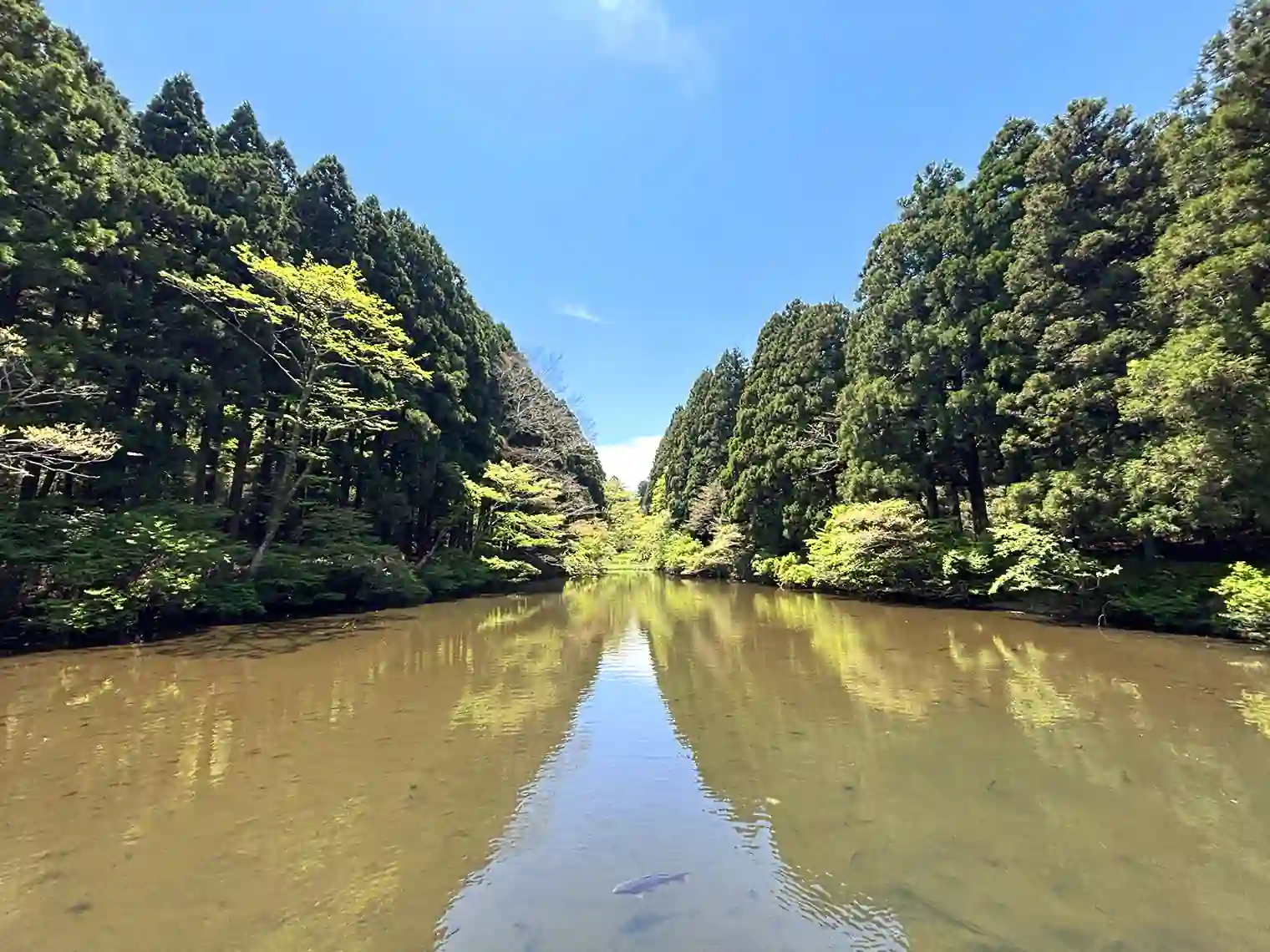 芦ノ湖