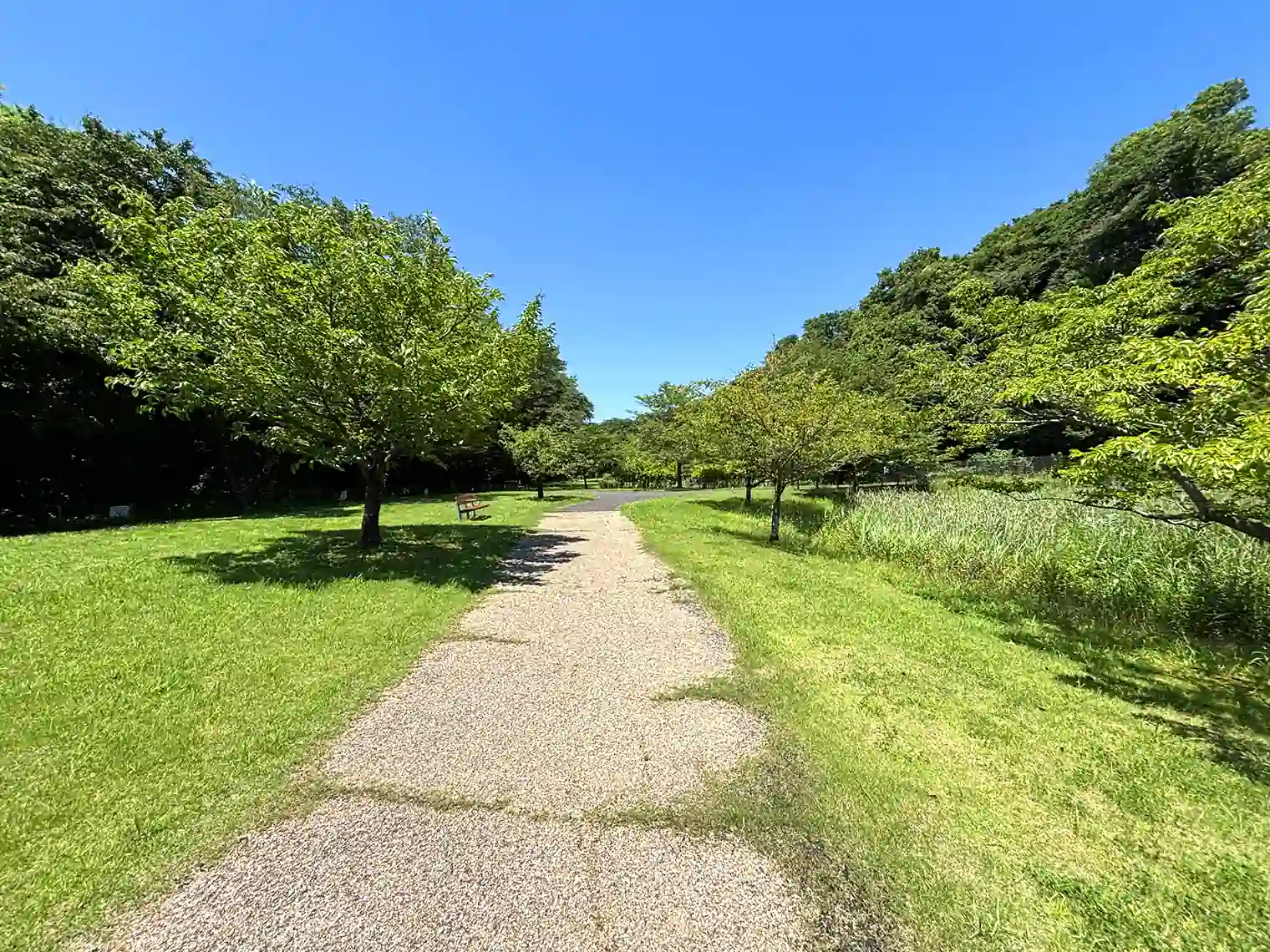 せせらぎの園地区