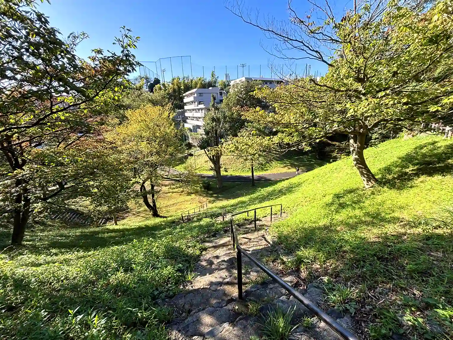 散策路
