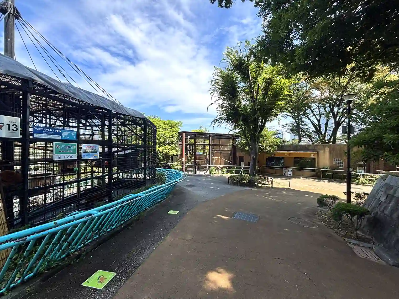 野毛山動物園内
