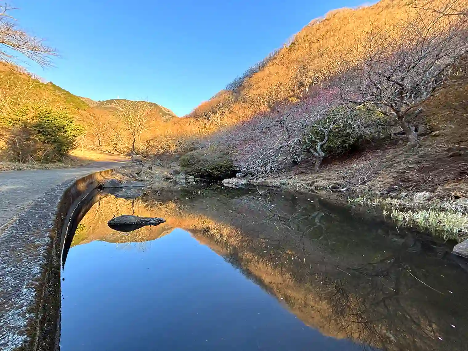 溜池