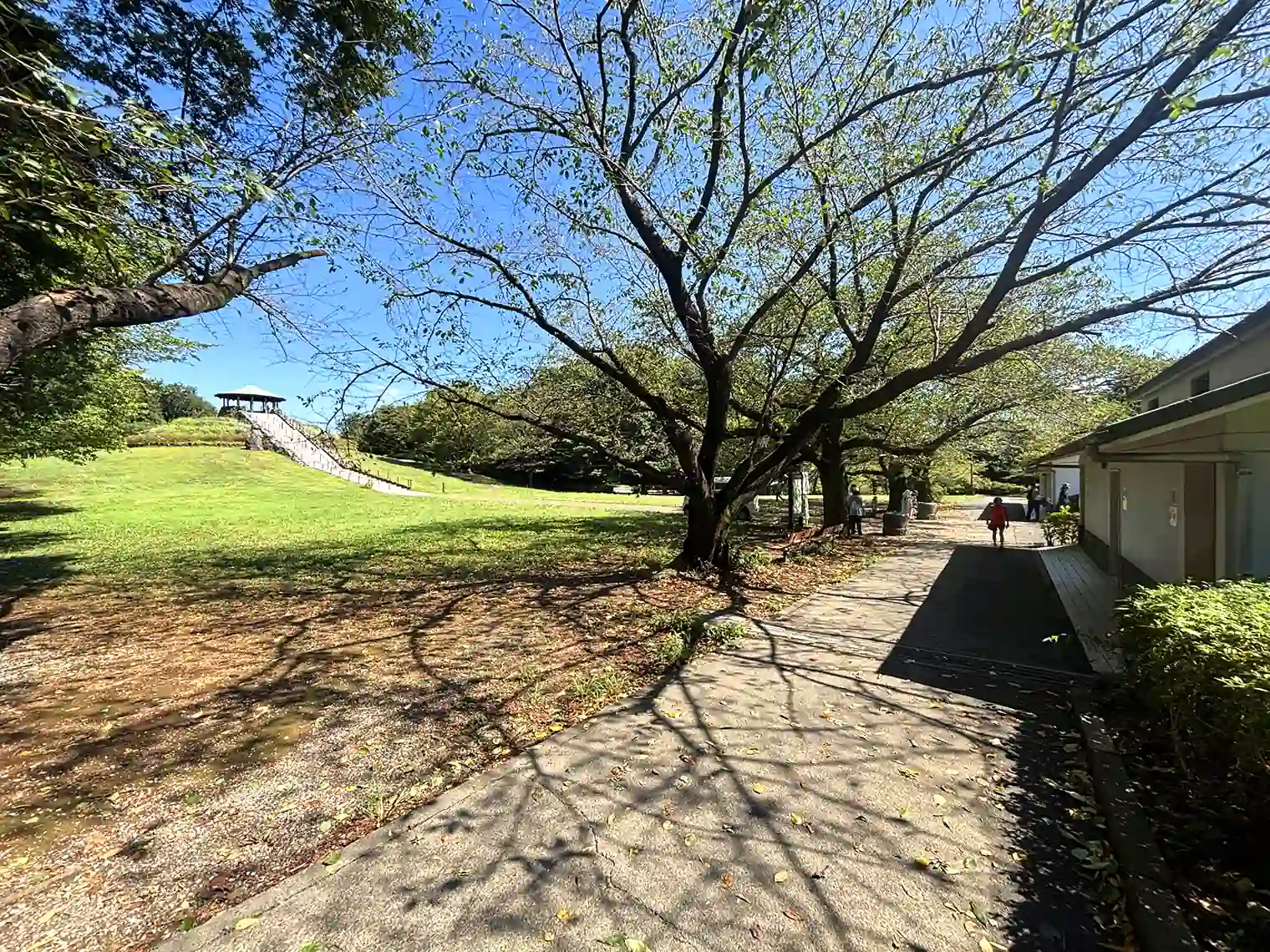 展望広場
