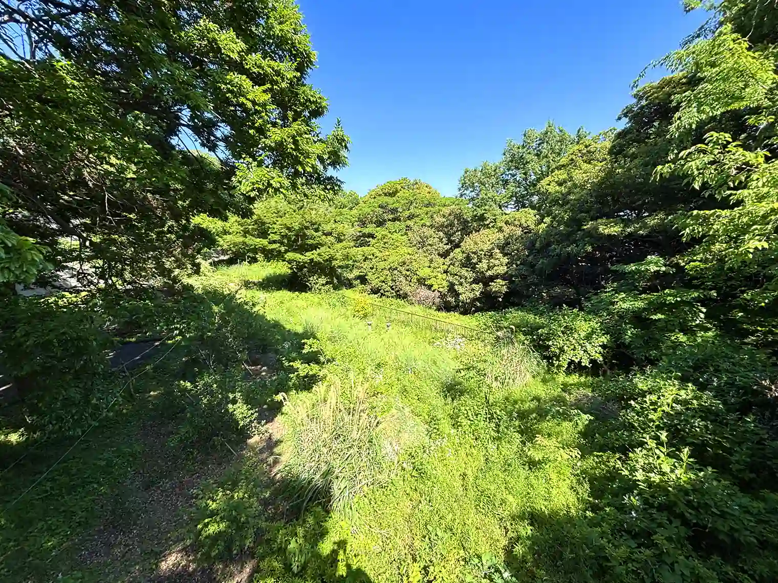 本牧荒井の丘の野鳥エリア？