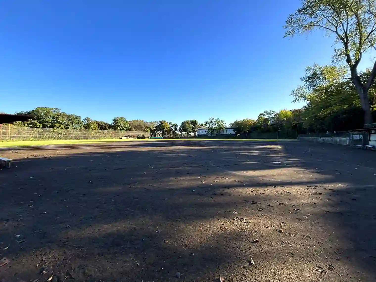 少年野球場