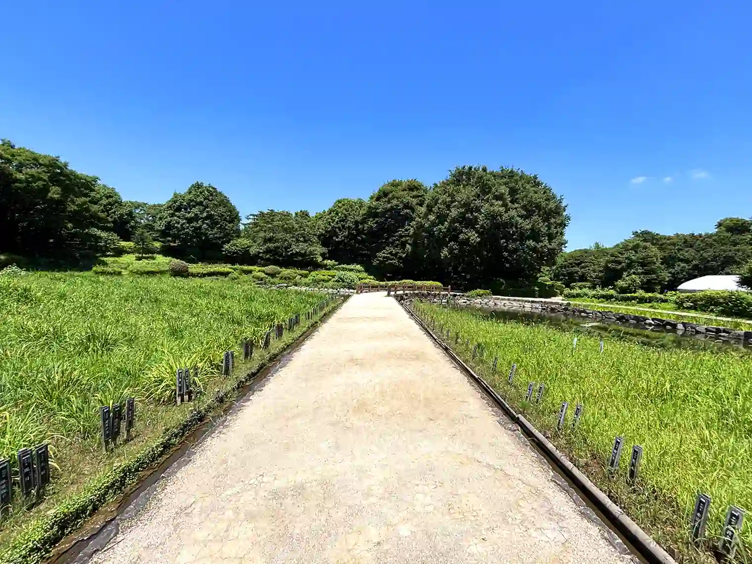 水無月園（花しょうぶ園）