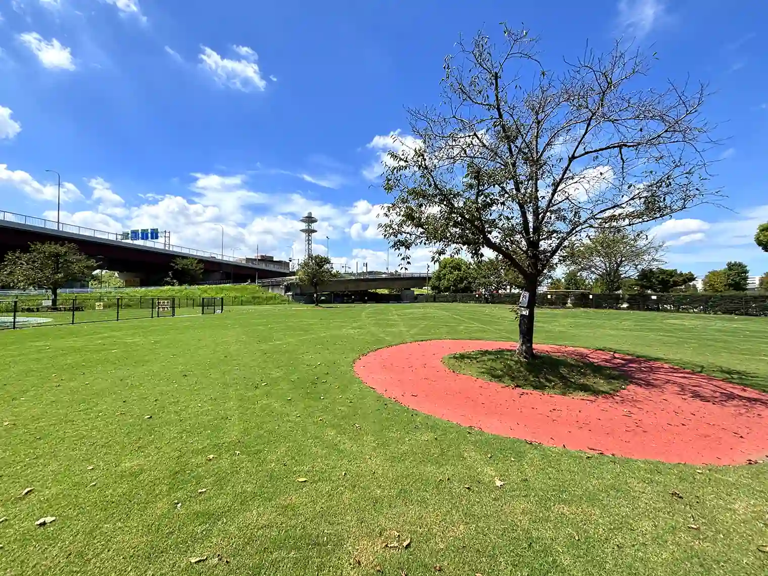 ドッグラン