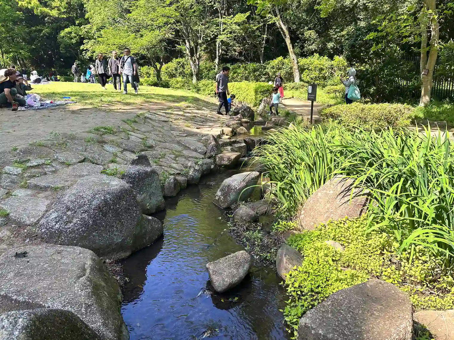 ケヤキ広場のせせらぎ水路