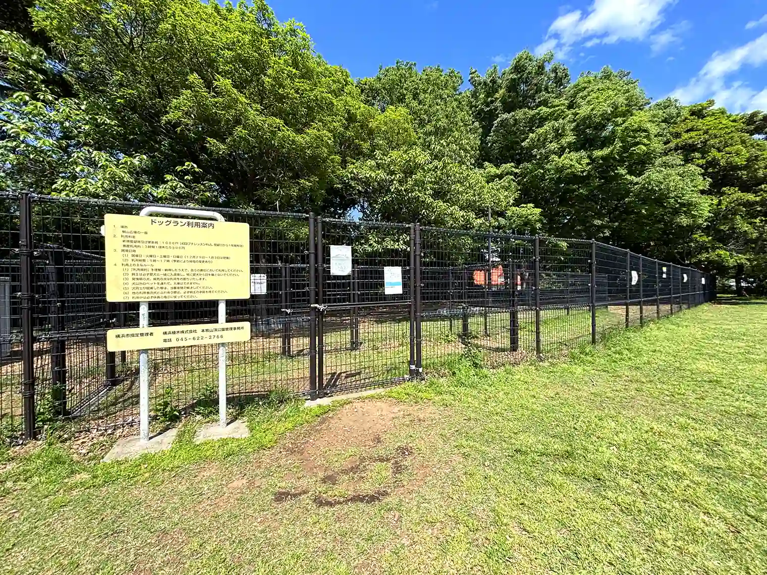 観山広場のドッグラン