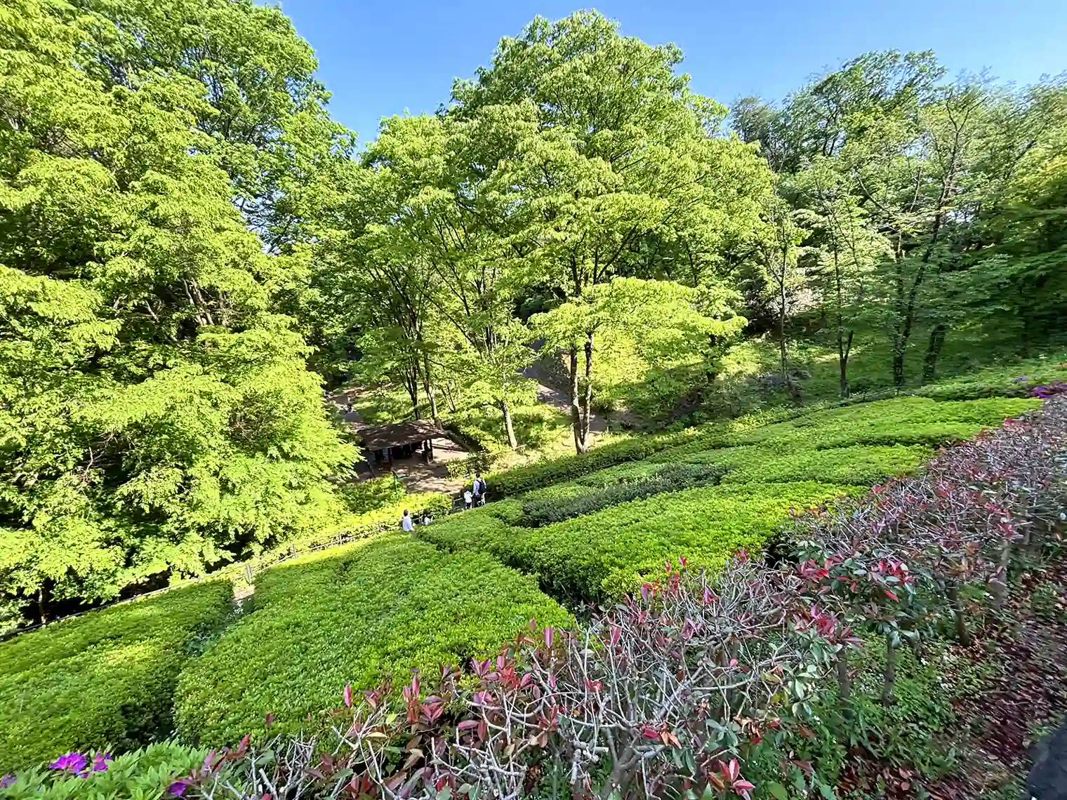 見晴台からの景色