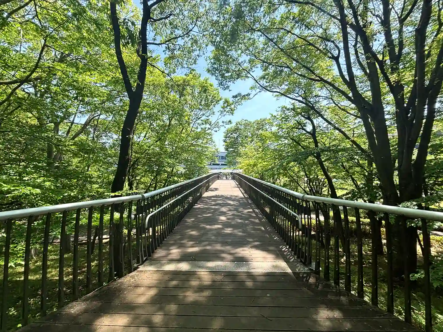円形広場へ続く橋