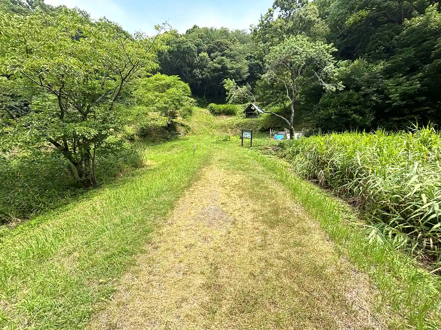 田舎道