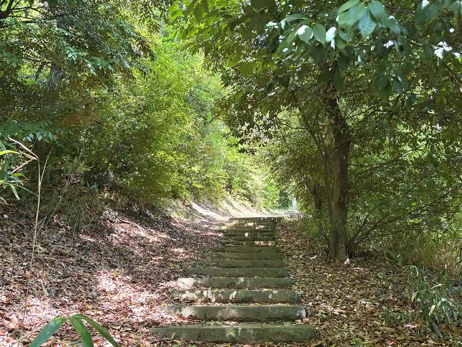 遊歩道