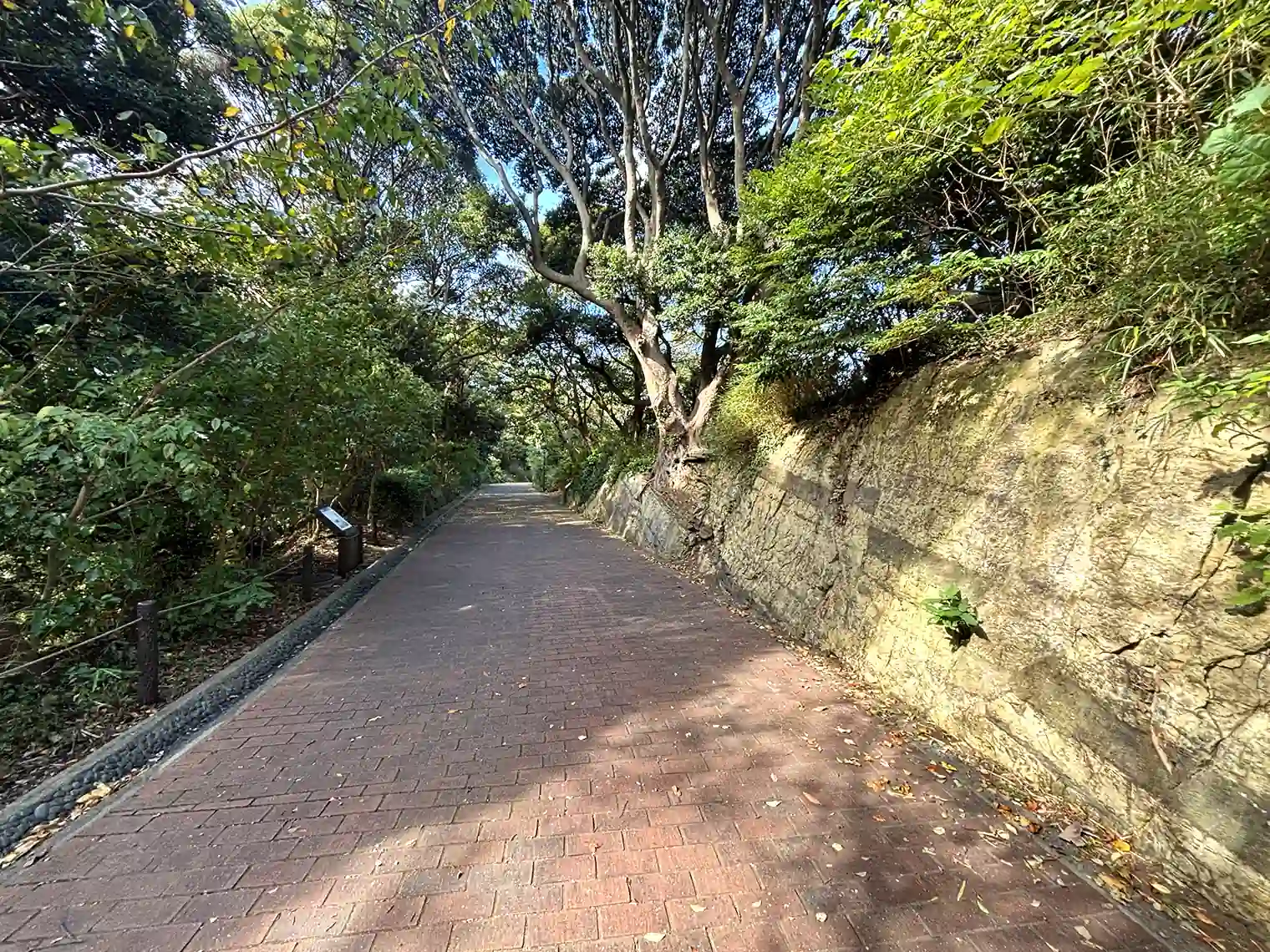 園内遊歩道