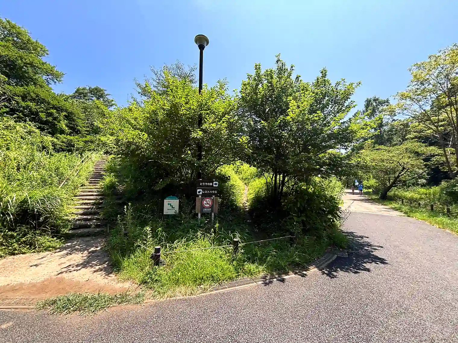 遊歩道