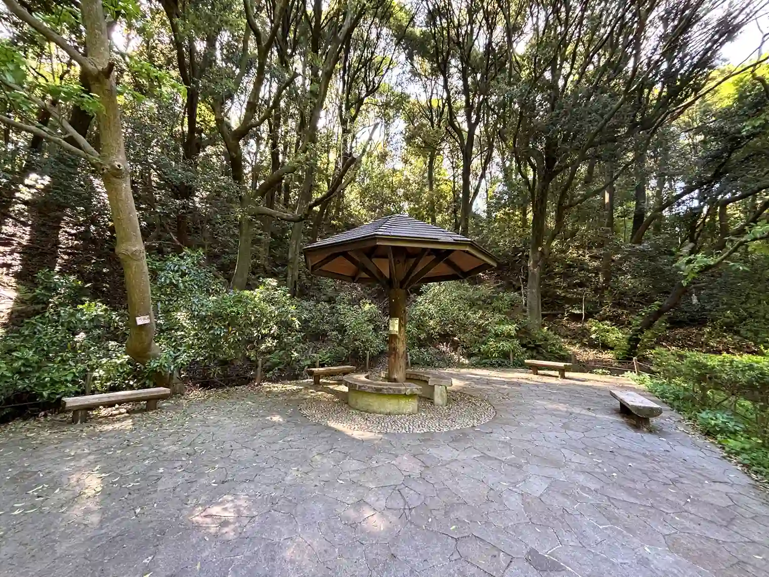 湿生花園ゾーン前の休憩場所