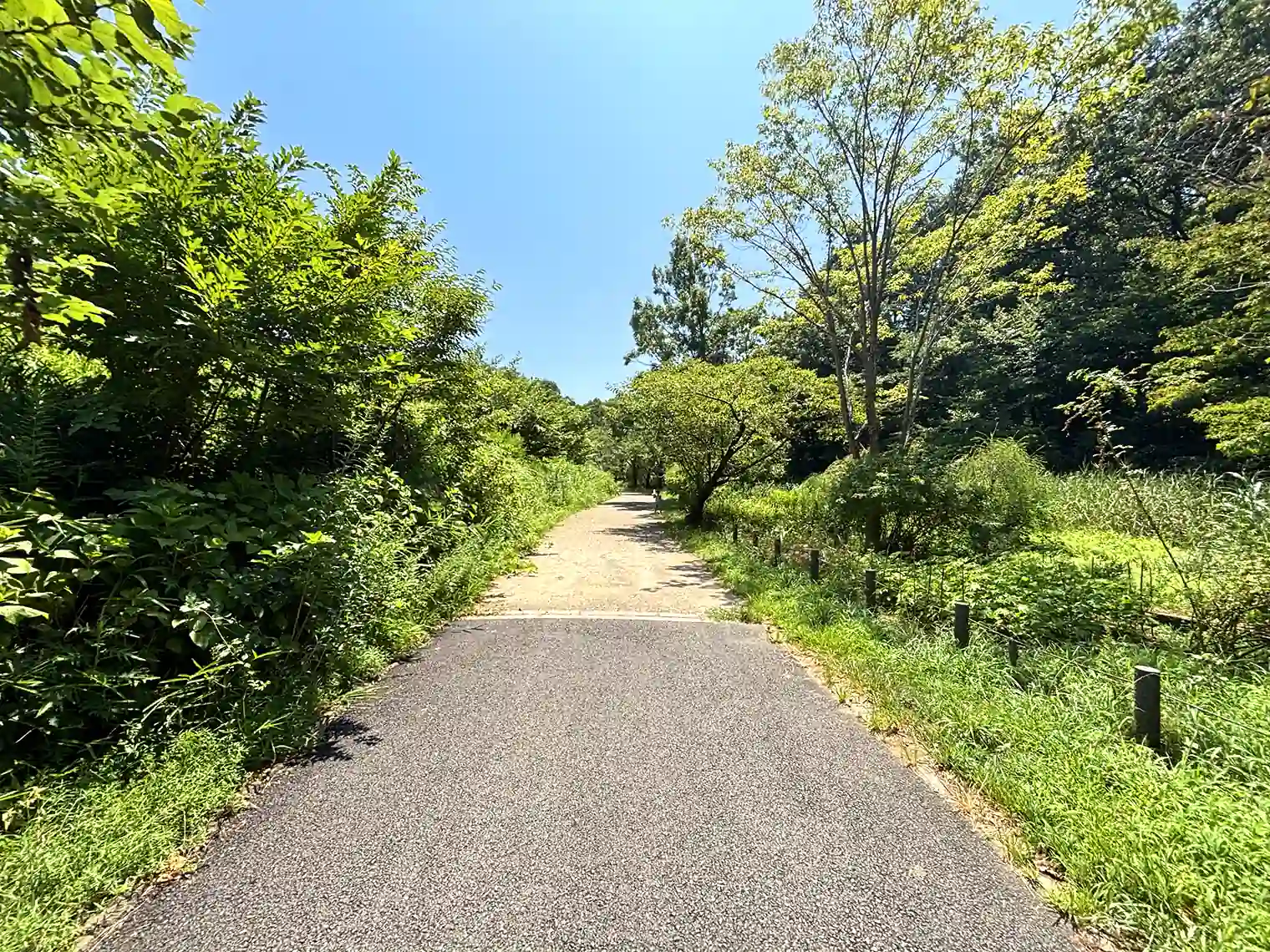 遊歩道