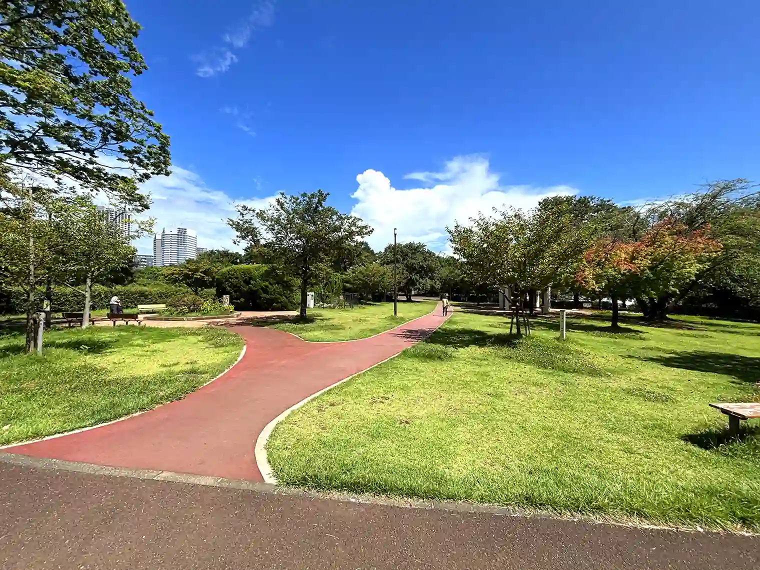 遊歩道