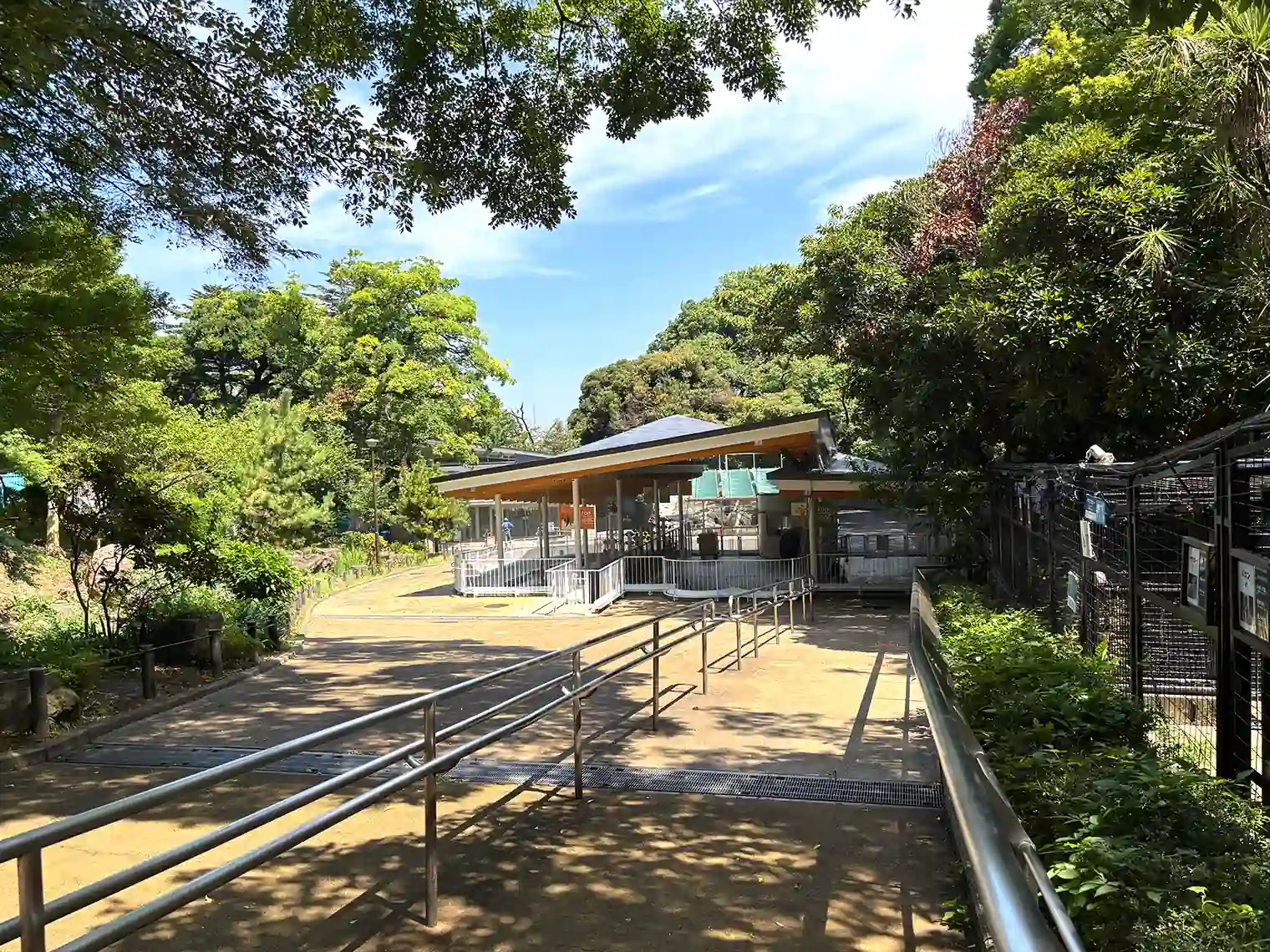 野毛山動物園内
