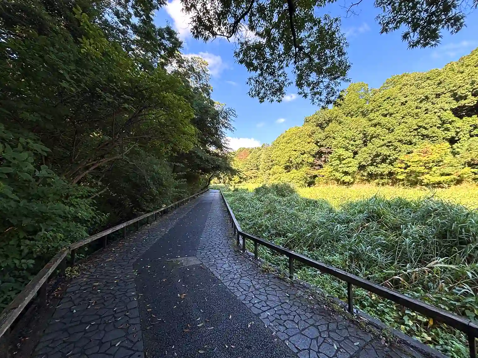 あし原湿原