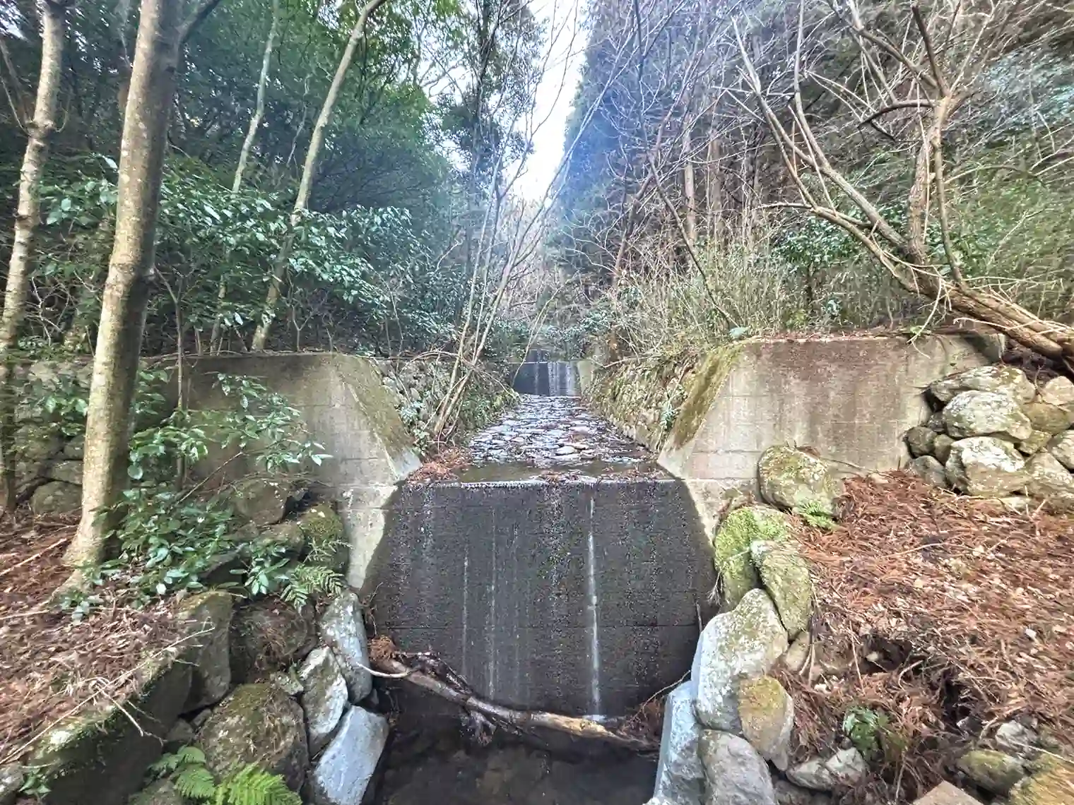 新﨑川の支流