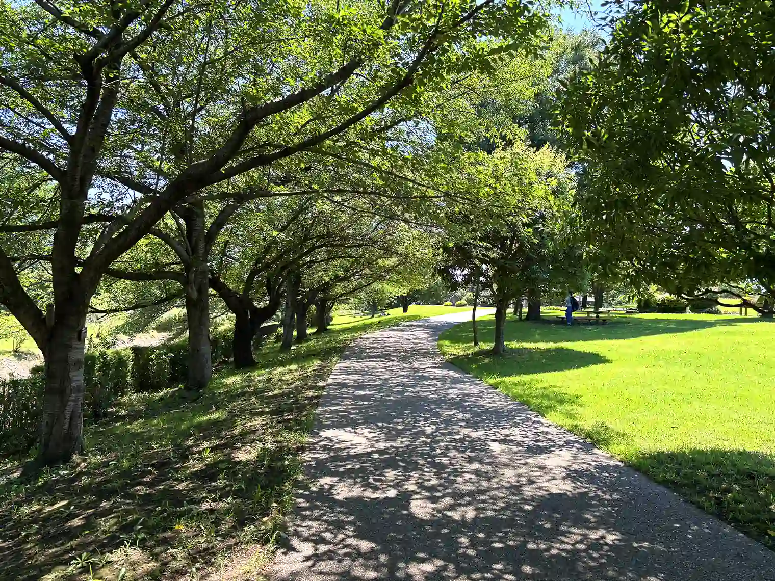 遊歩道