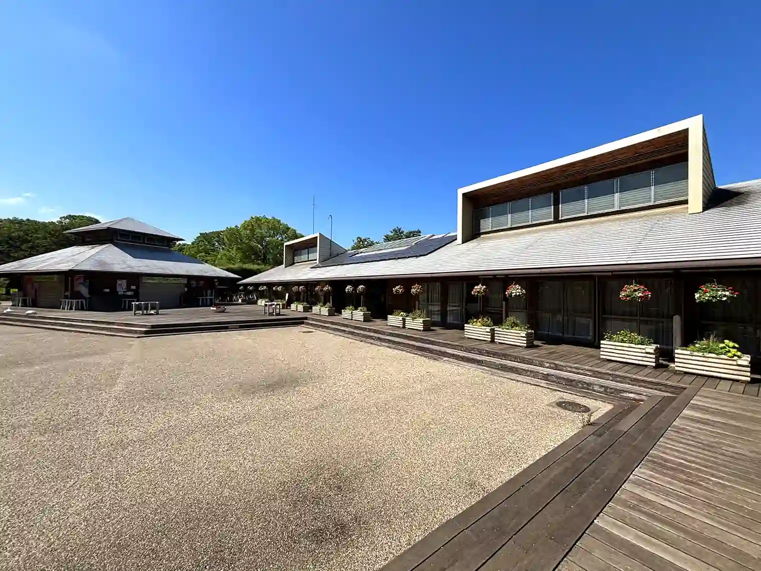 公園管理事務所とブロッサムズカフェ