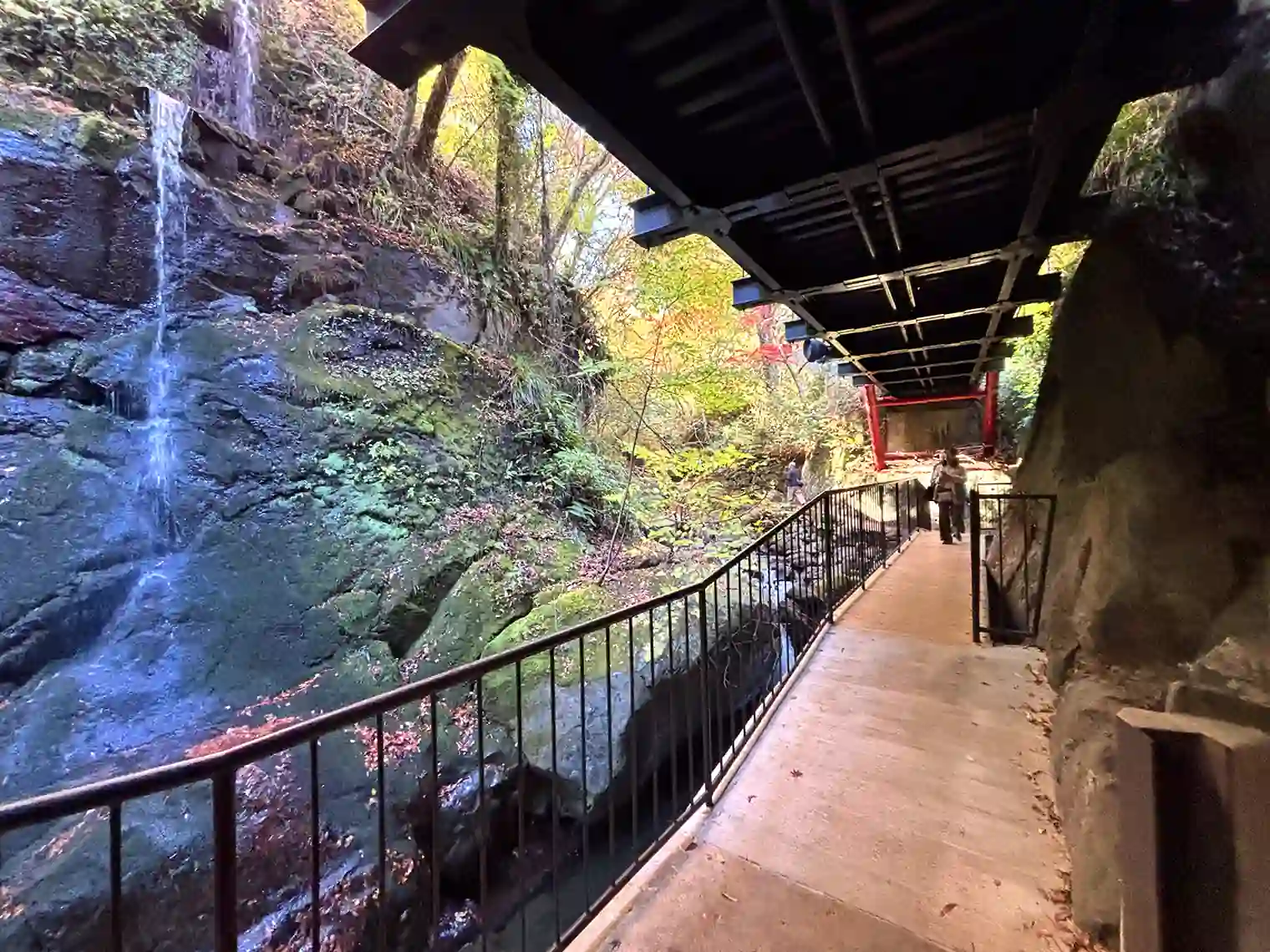 橋の下から見る滝