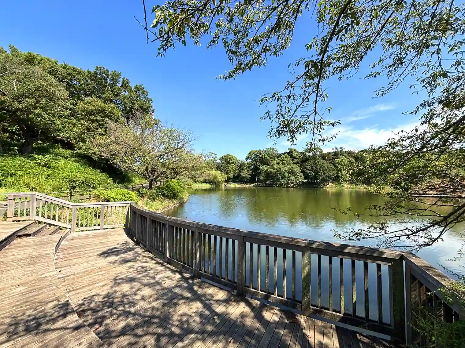 中の池のウッドデッキ
