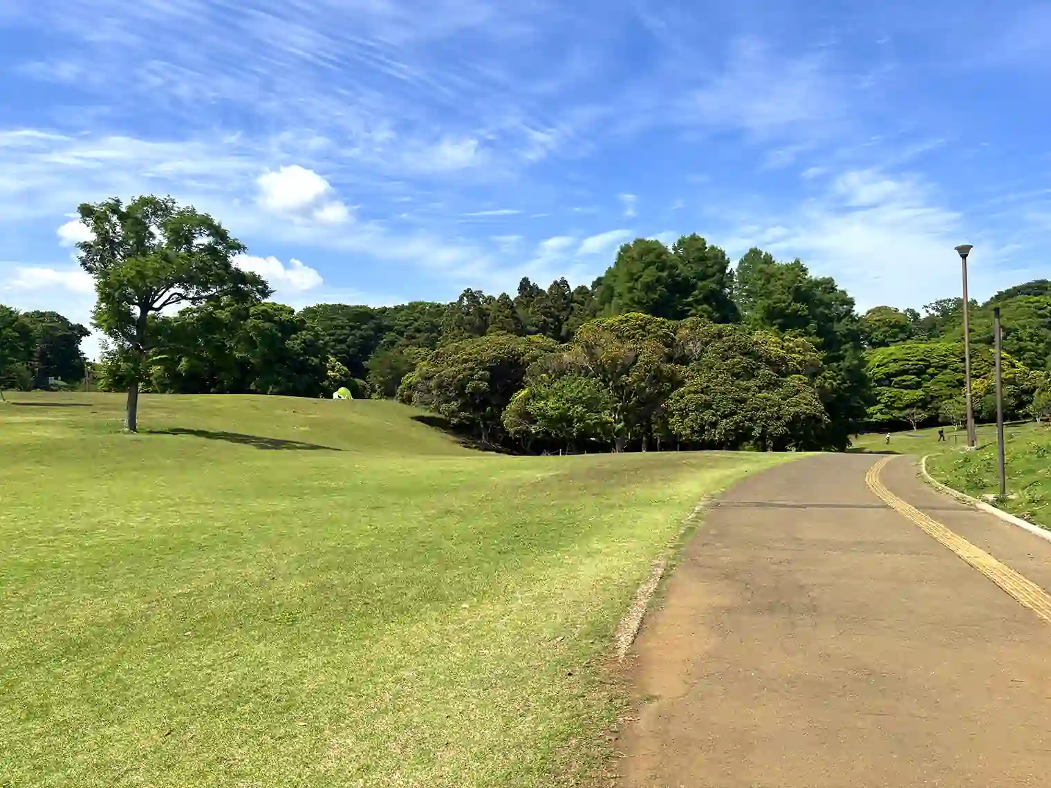芝生広場