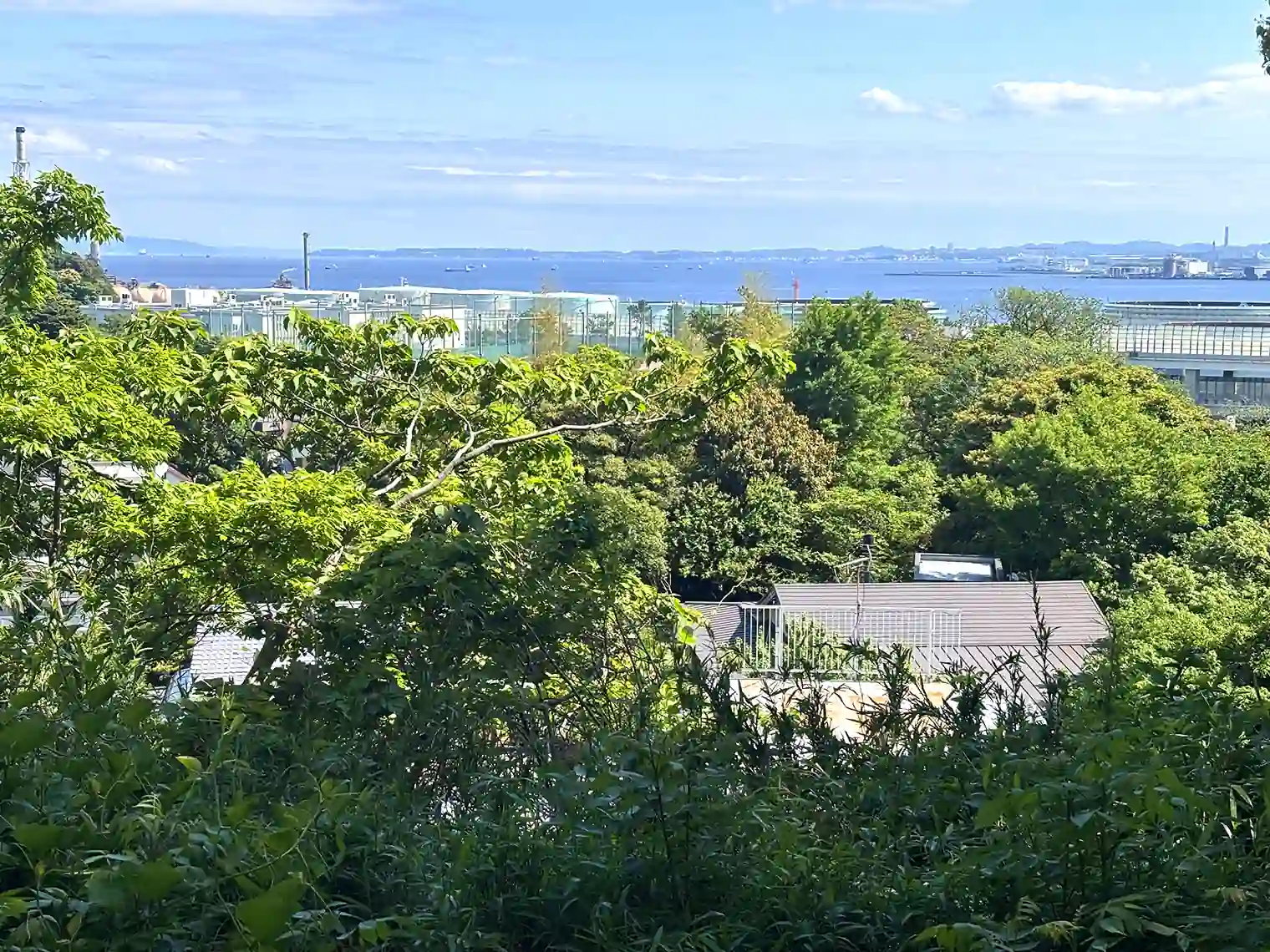 本牧荒井の丘からの眺望
