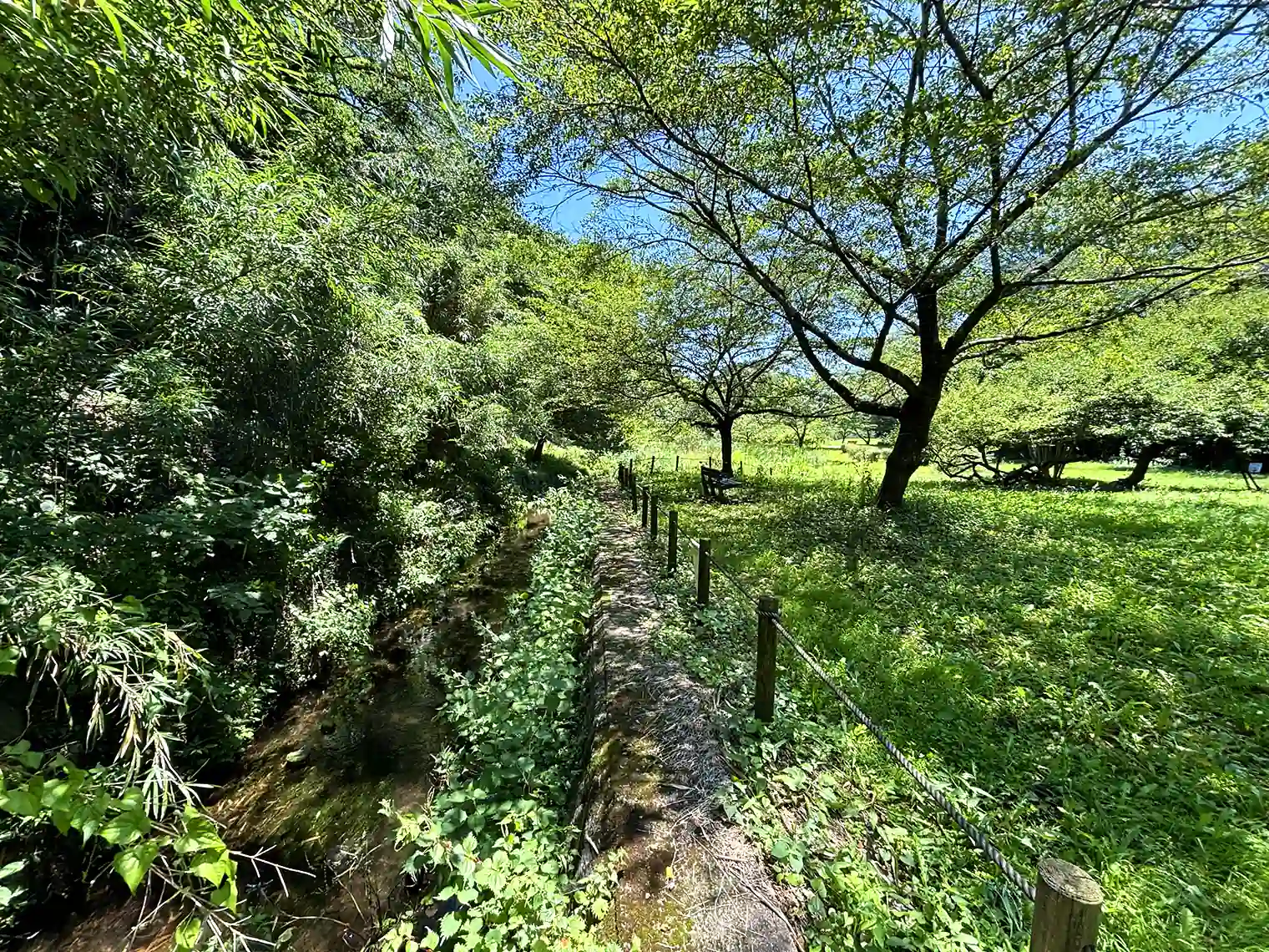 せせらぎの園地区の水路