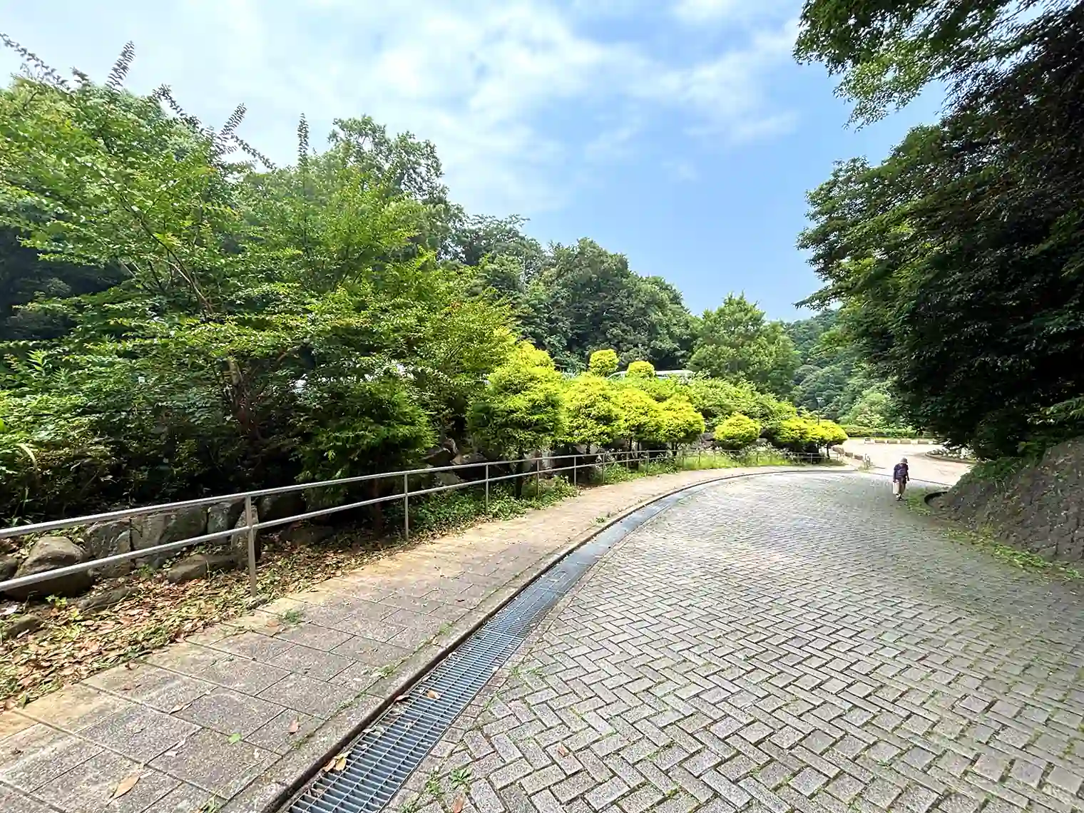 入口付近遊歩道