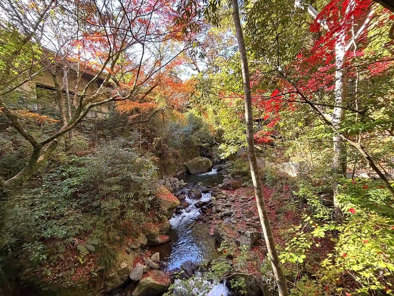 千歳川