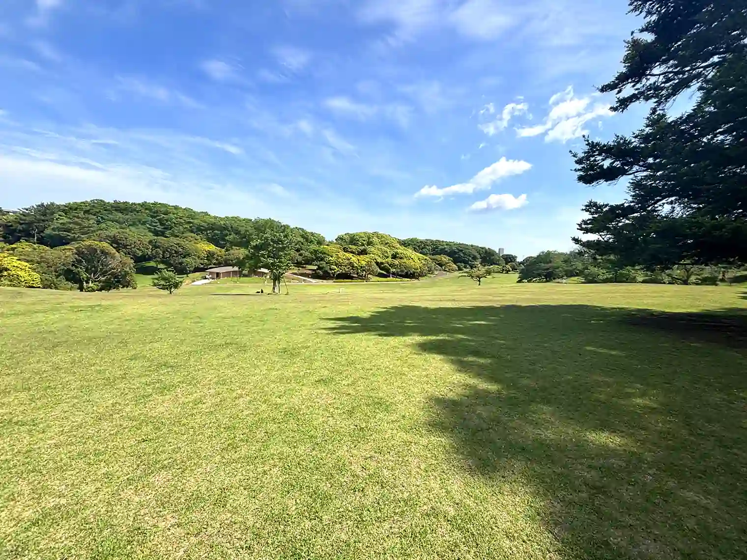芝生広場