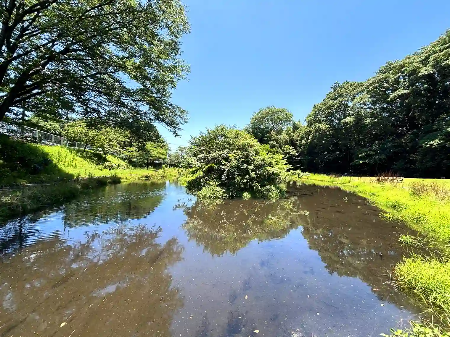 下の池（せせらぎの園地区）