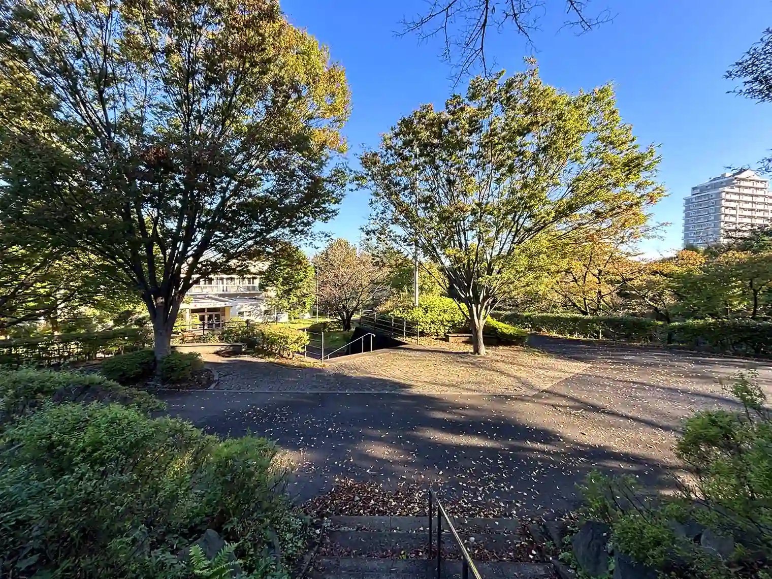 体育館前の広場