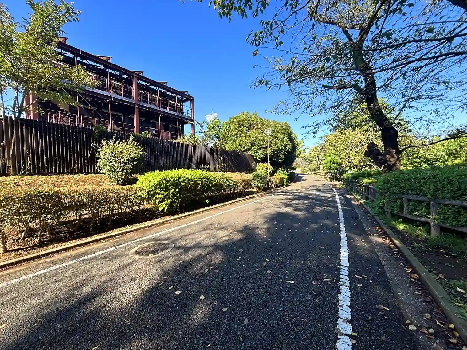 陸上競技場横の遊歩道