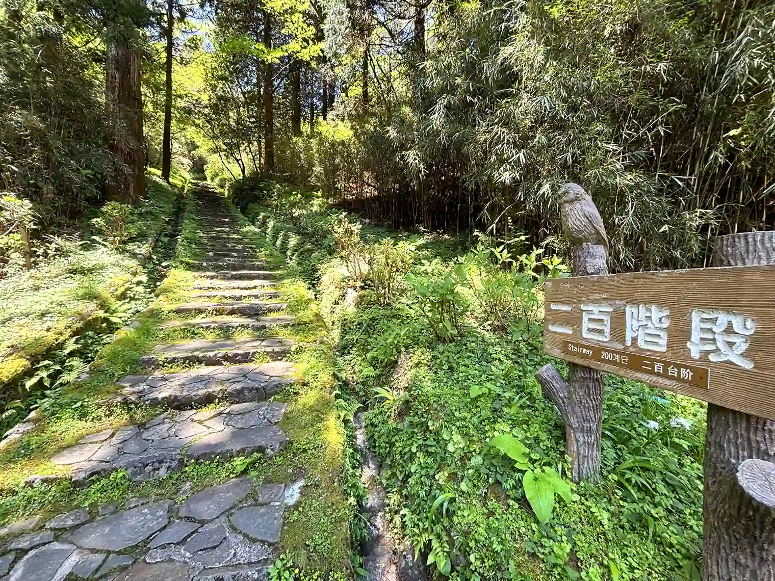 二百階段