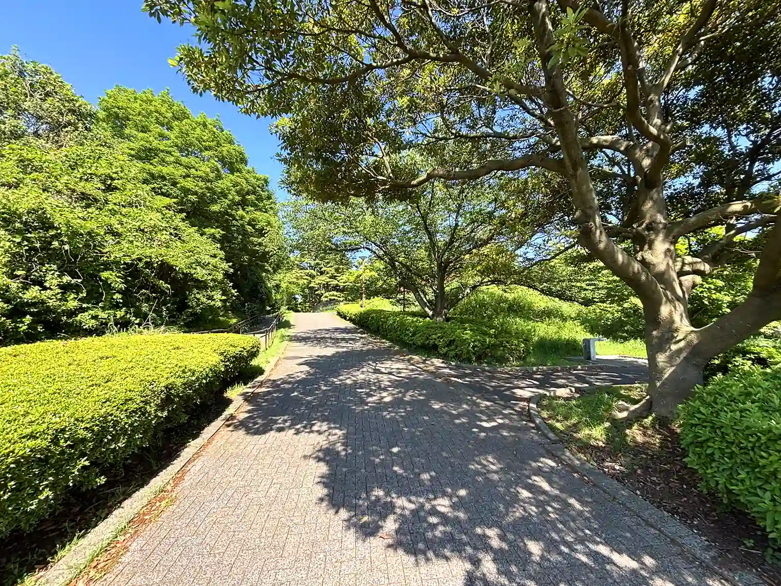 本牧荒井の丘の遊歩道