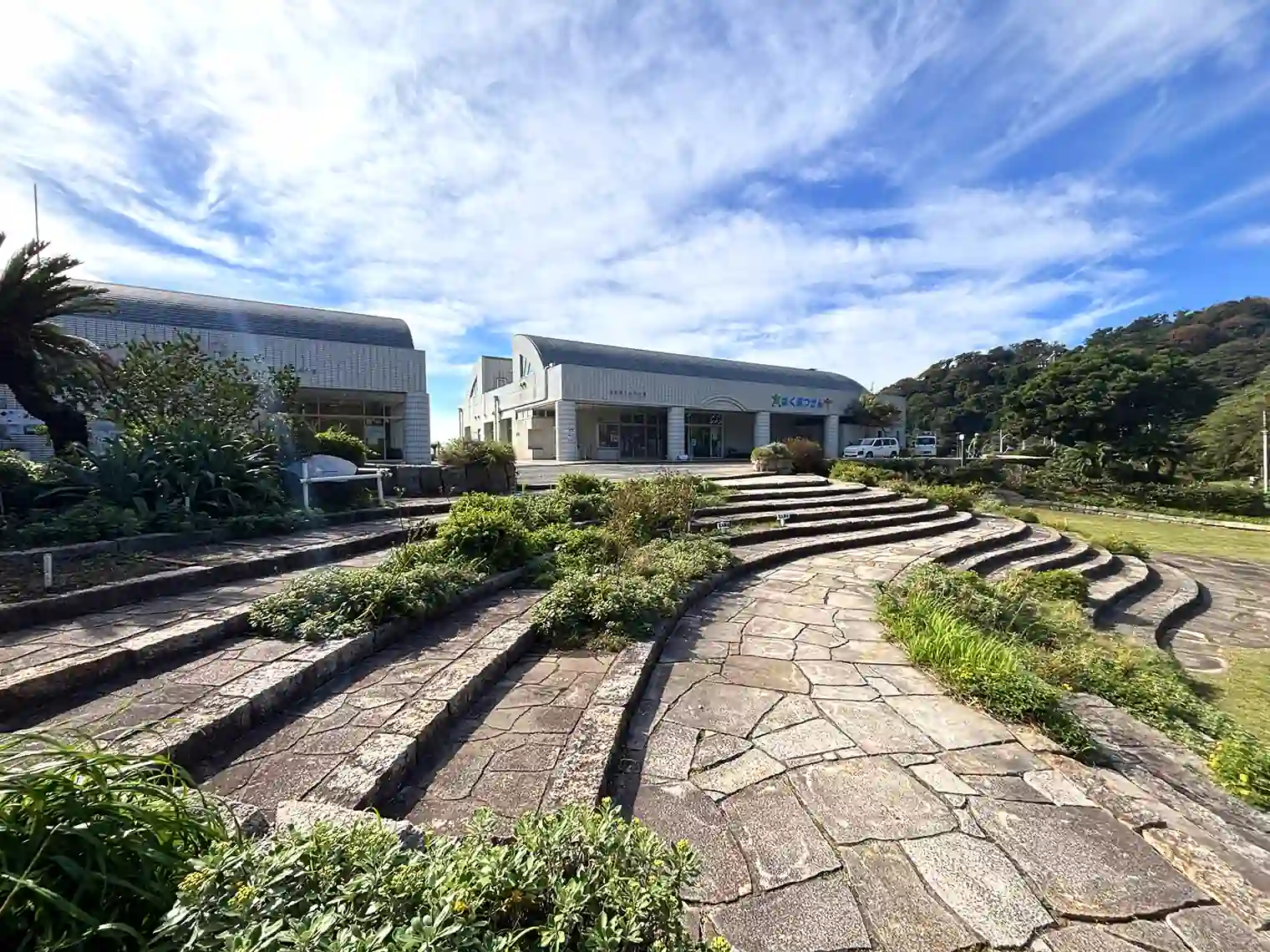 観音崎自然博物館
