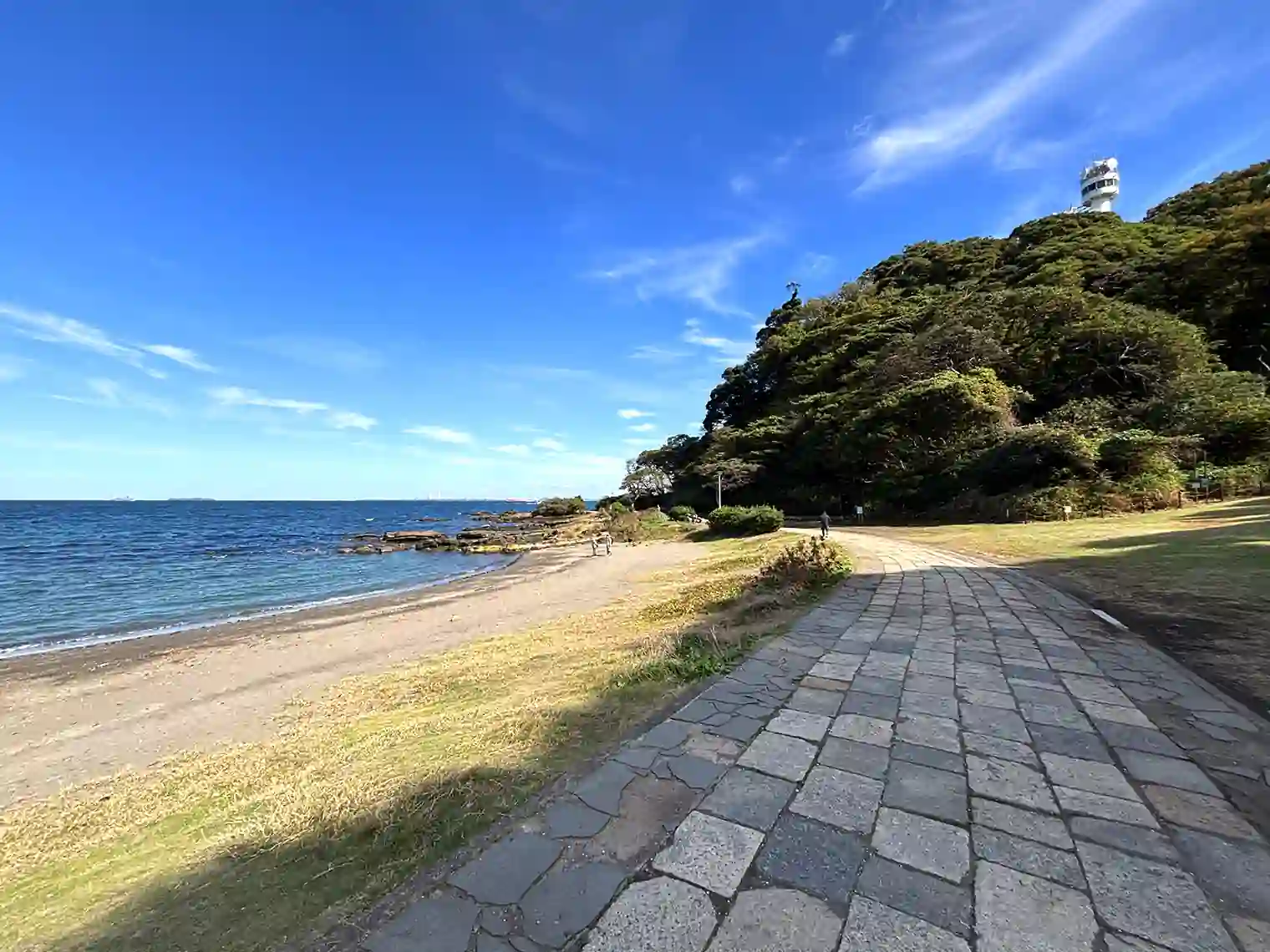 海岸園地