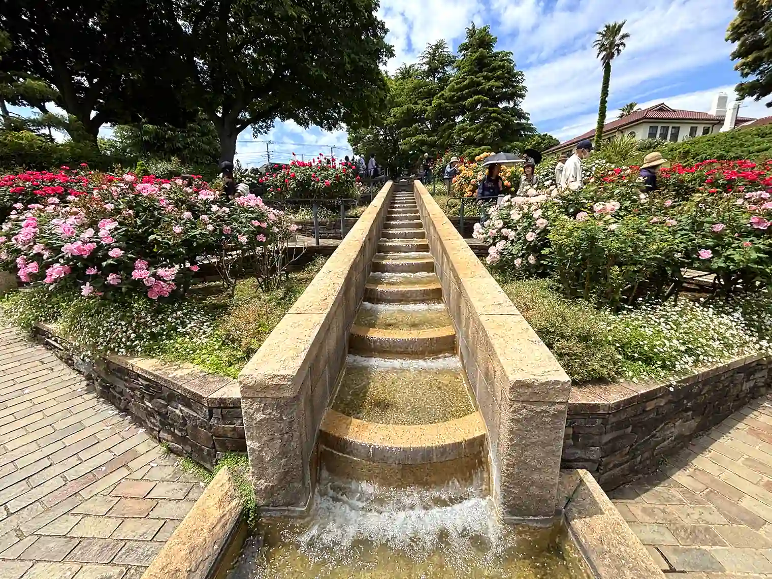 バラのガゼボの水路
