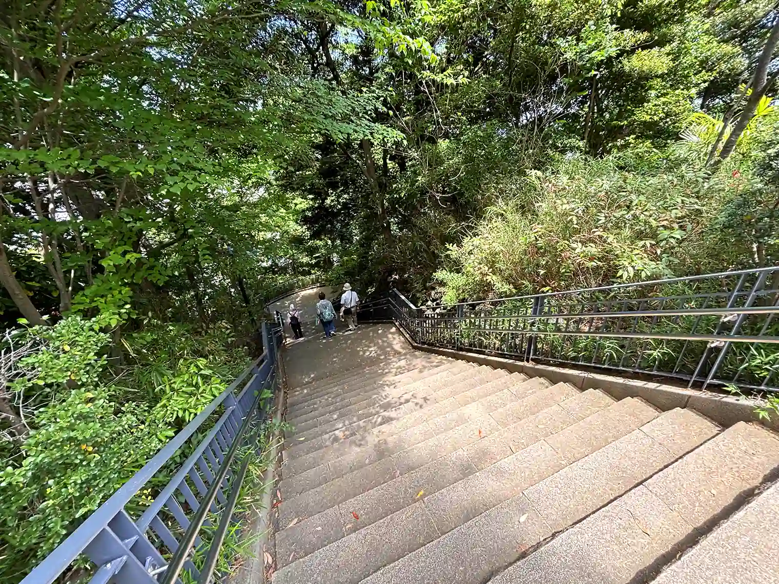 フランス山地区へ上る階段