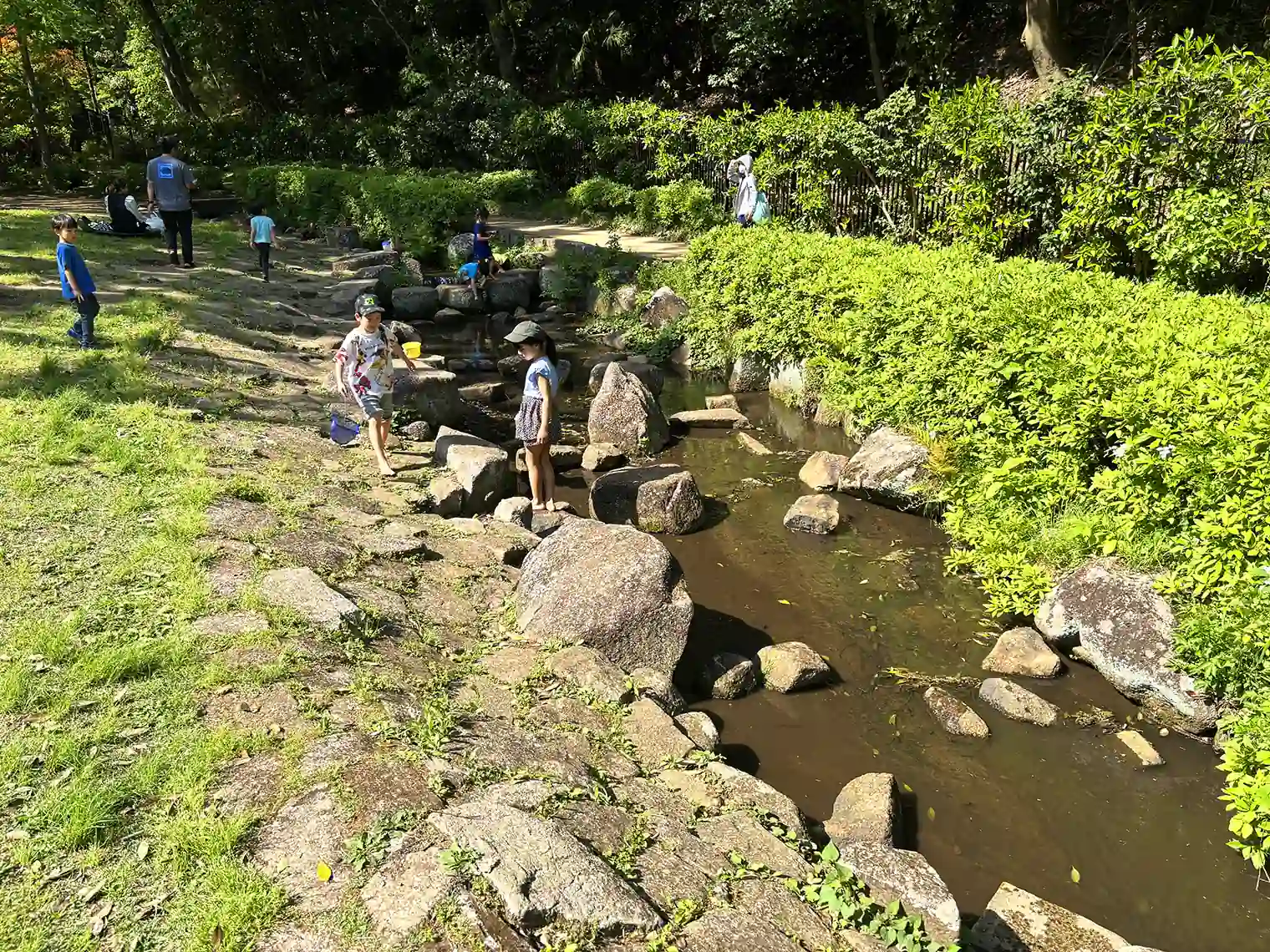ケヤキ広場のせせらぎ水路